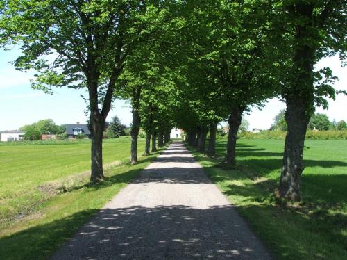 Skottorp20060604 113
