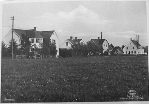 malgard